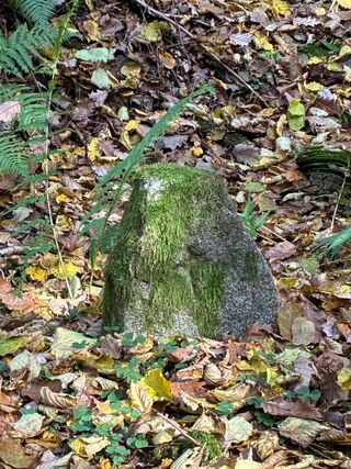 Nikdo neví, proč zde byl. Kámen s křížkem v nalžovickém Podhájí. Foto: Mikuláš Kroupa